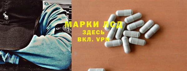 шишки Тавда