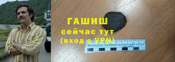 сатива Тайга