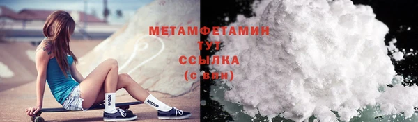 шишки Тавда
