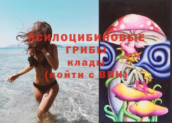наркотики Сясьстрой