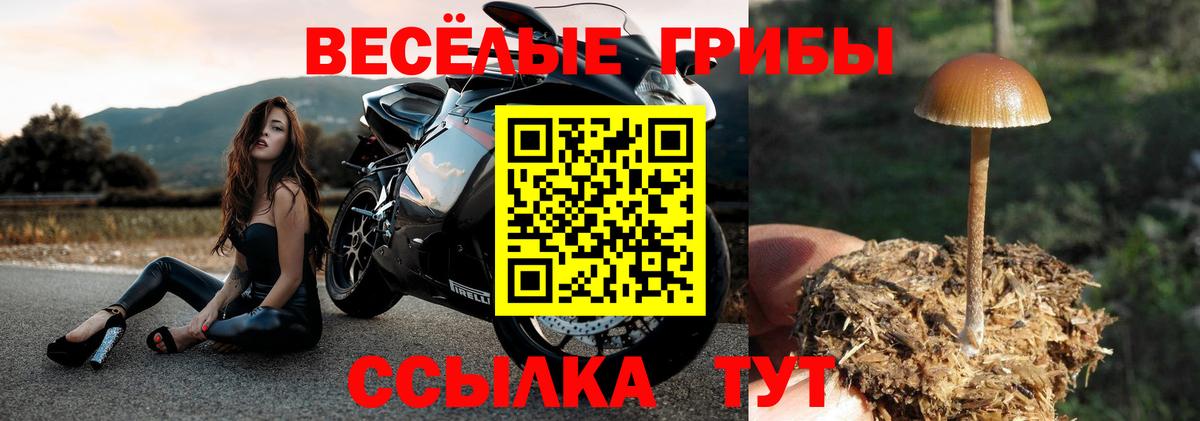 Псилоцибиновые грибы Magic Shrooms  Псилоцибиновые грибы Cubensis  Вход с VPN  Норильск 